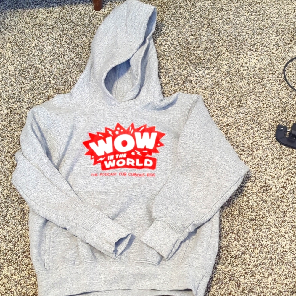 WOW in the World hoodie, grey, youth medium